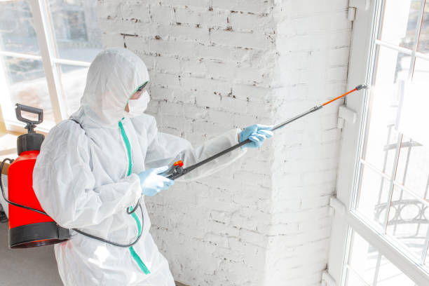 Why You Should Choose Our Mold Remediation Services in Wyncote, PA